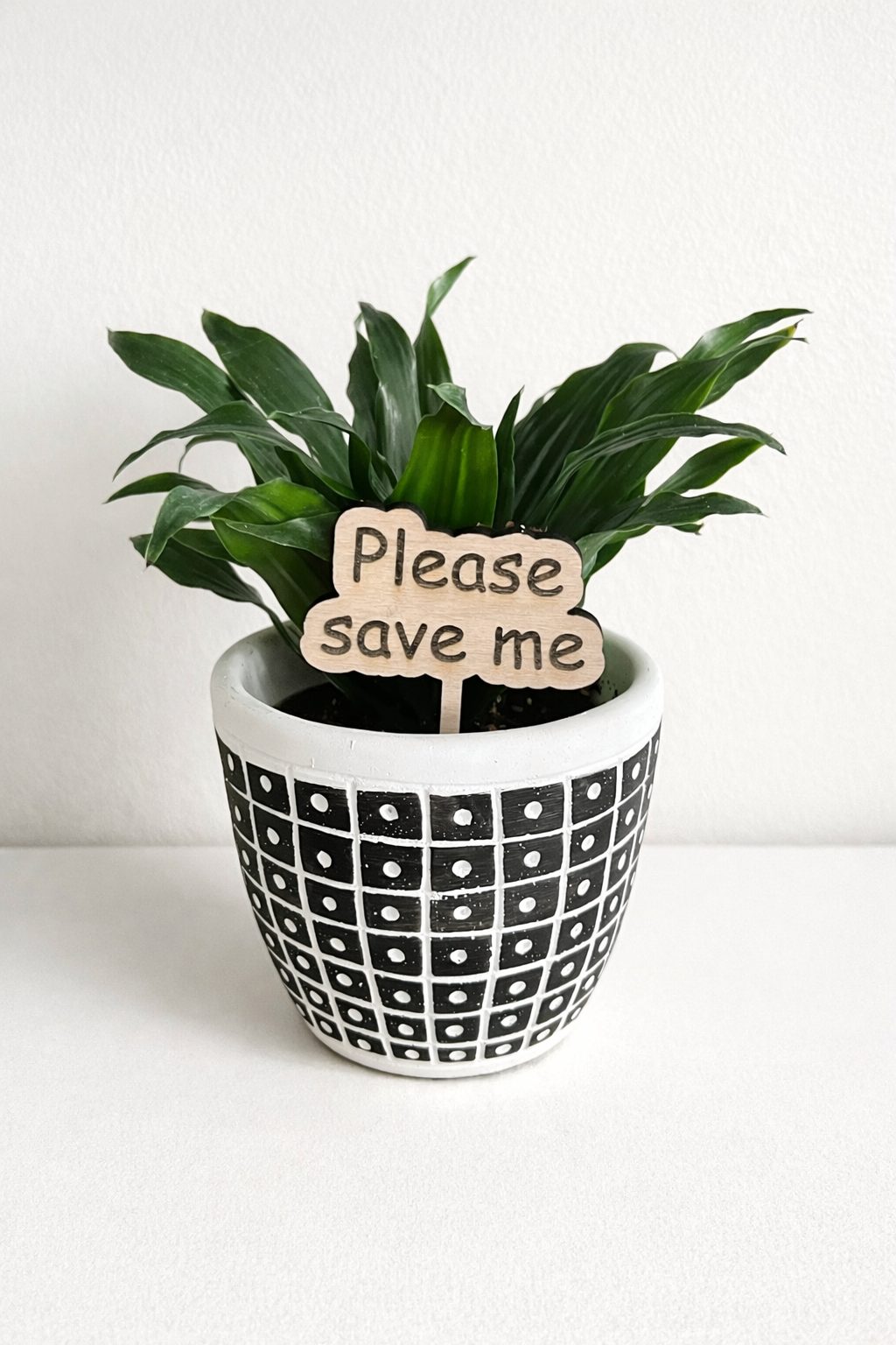 Plant or Garden Stakes