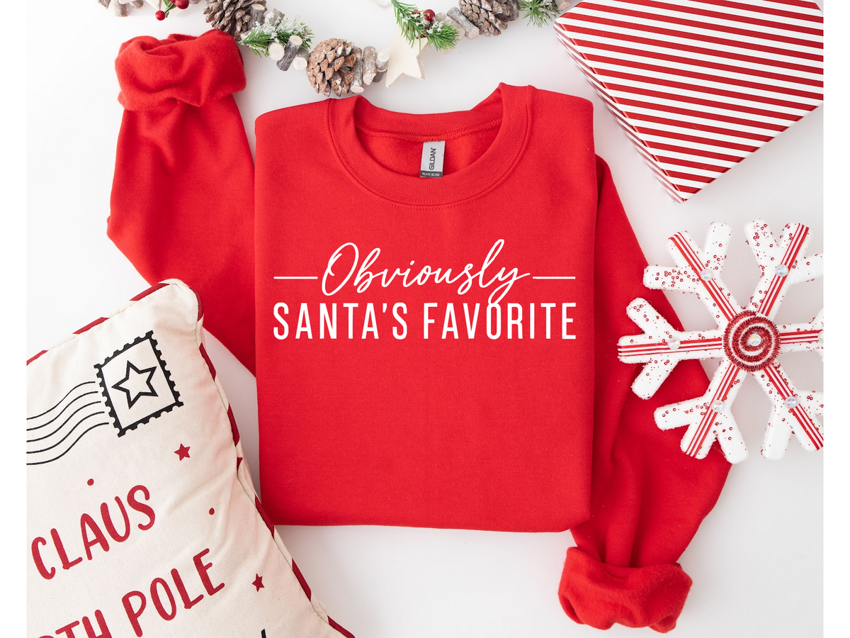 Obviously Santa’s Favorite Sweatshirt