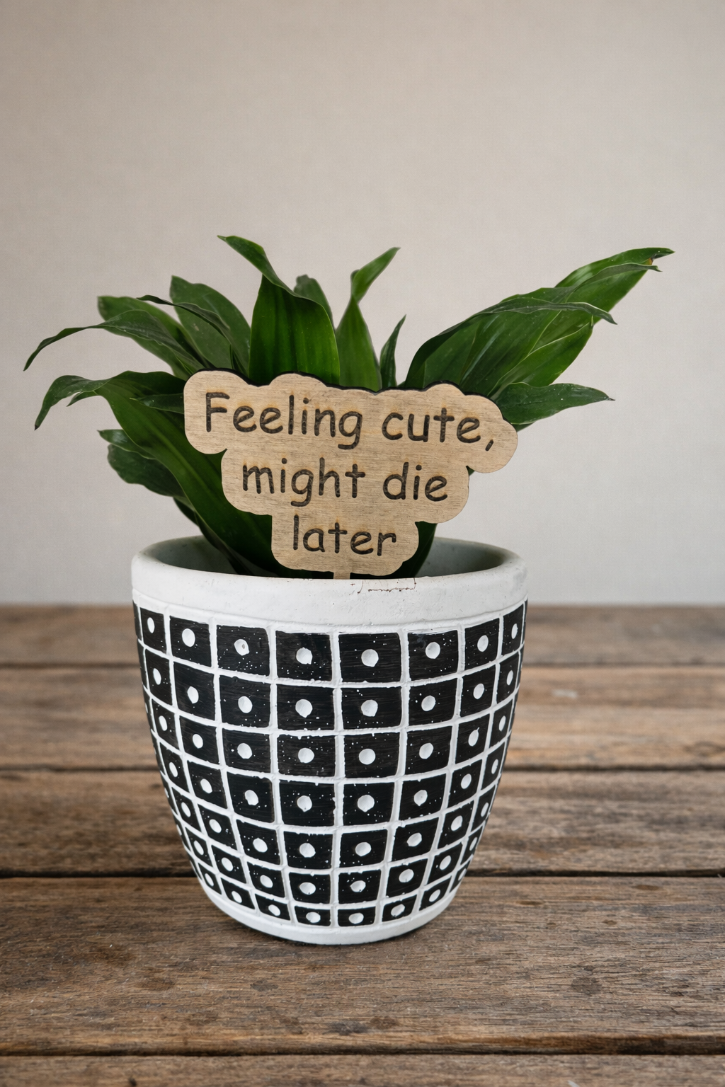 Plant or Garden Stakes