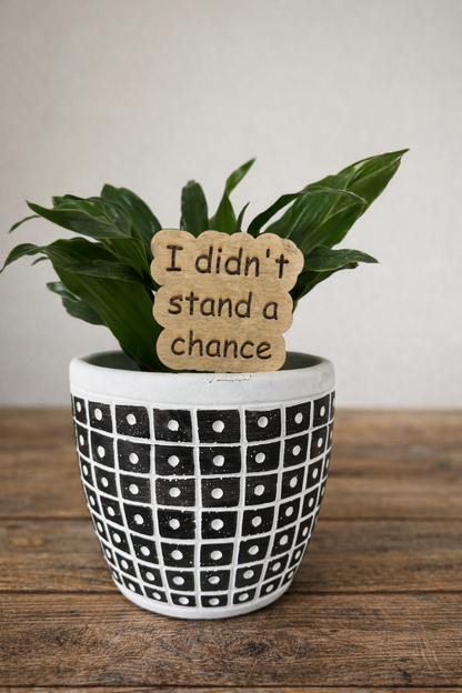 Plant or Garden Stakes