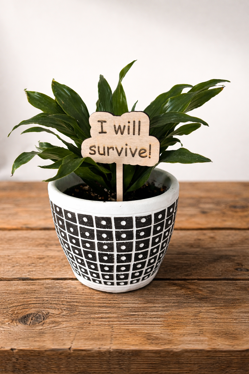 Plant or Garden Stakes