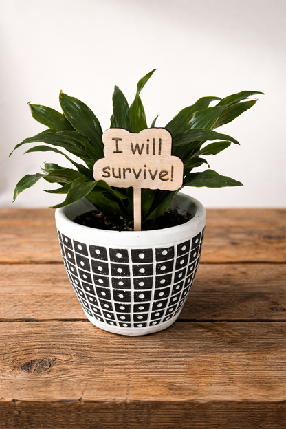 Plant or Garden Stakes