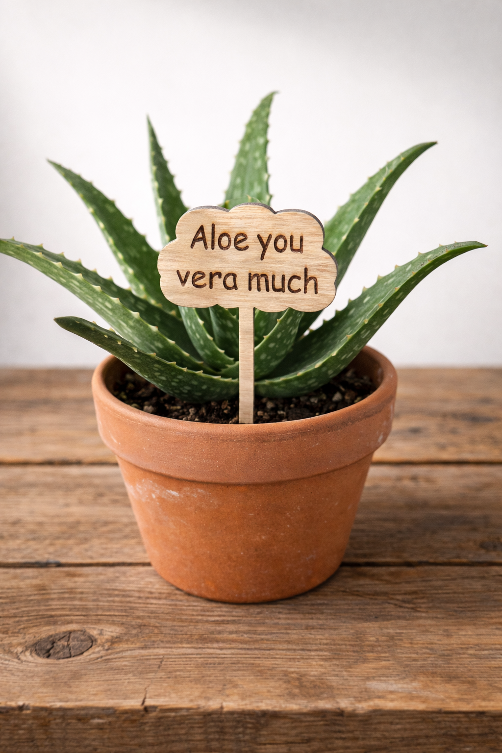 Plant or Garden Stakes