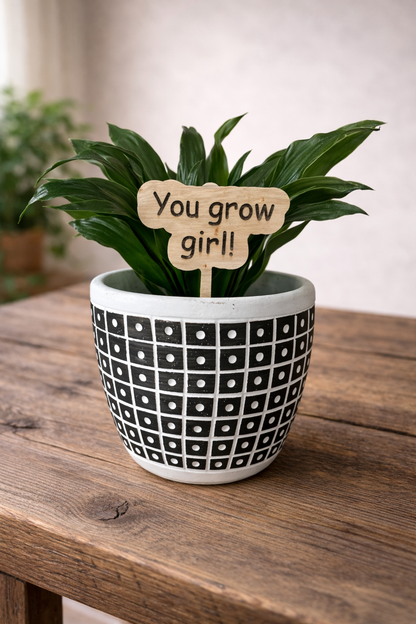Plant or Garden Stakes
